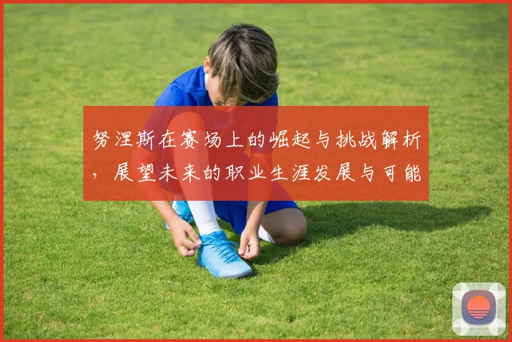 努涅斯在赛场上的崛起与挑战解析，展望未来的职业生涯发展与可能性